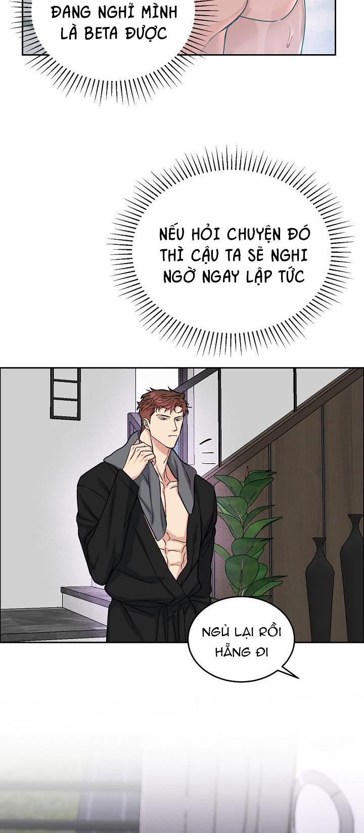 Đọc truyện CHÓ VÀ CHIM - Chapter 11