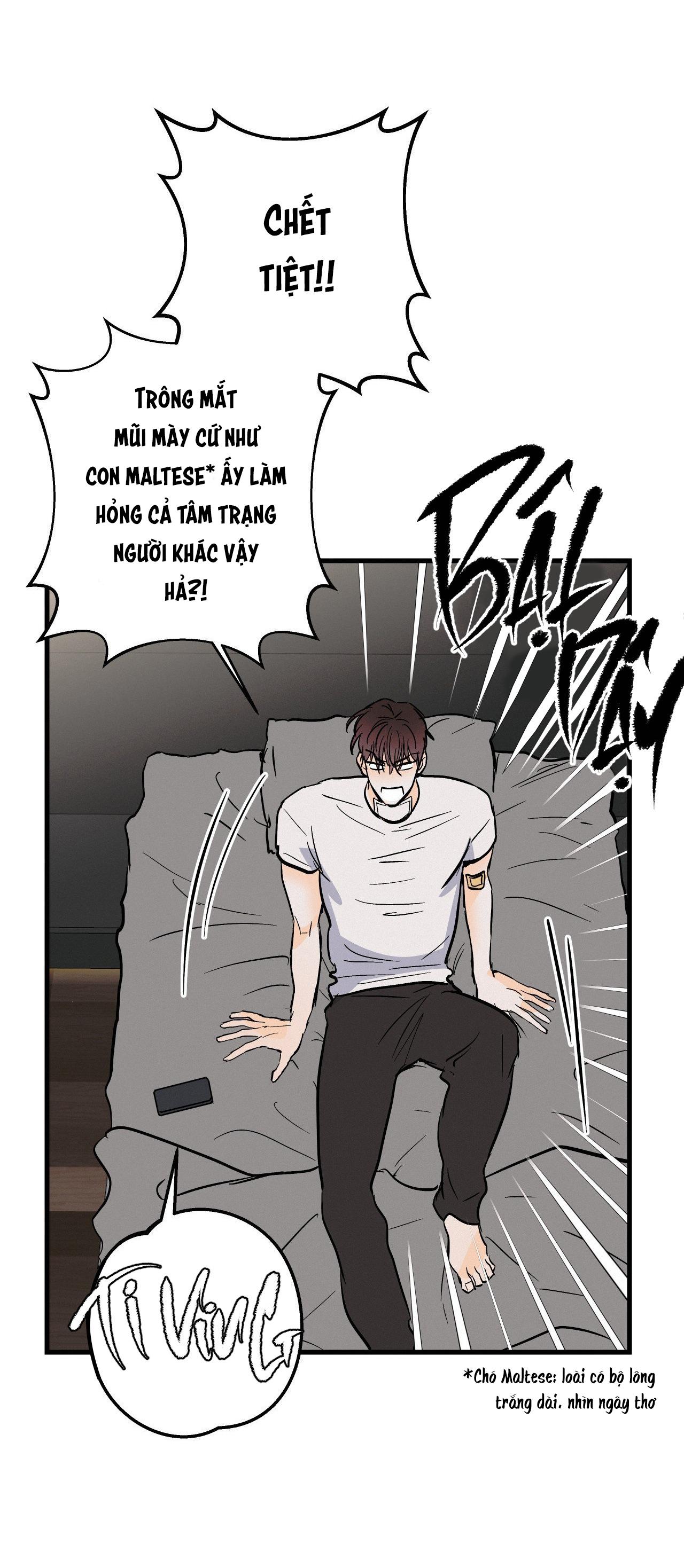 Đọc truyện LIE AGAIN - Chapter 15