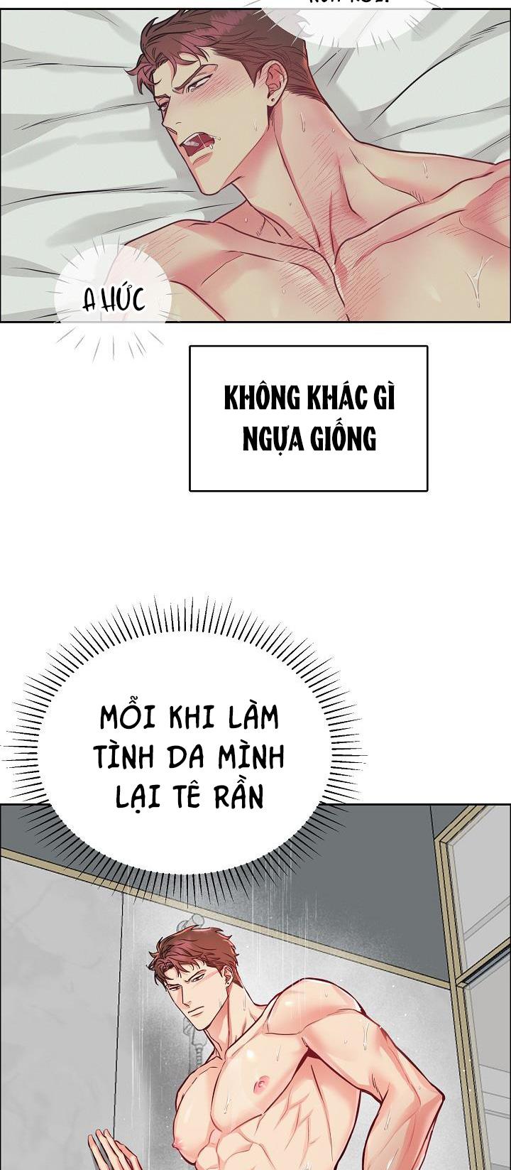 Đọc truyện CHÓ VÀ CHIM - Chapter 11