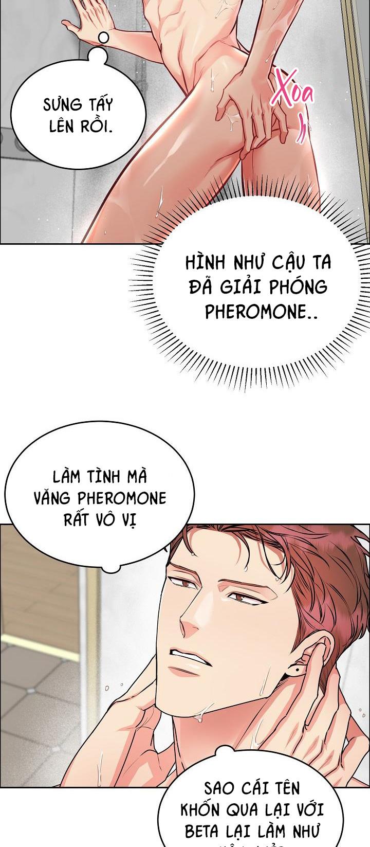 Đọc truyện CHÓ VÀ CHIM - Chapter 11