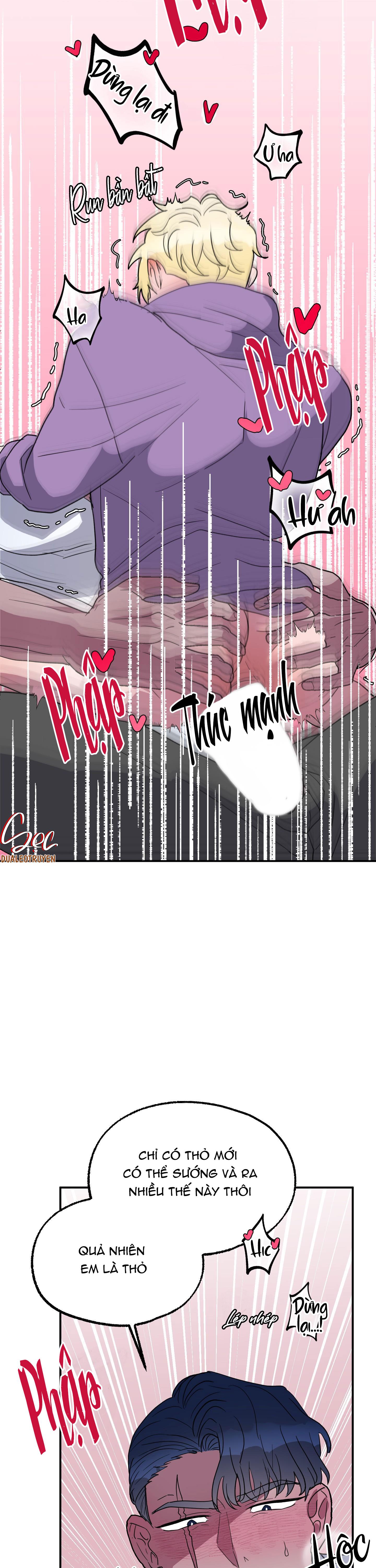 Đọc truyện CÁ MẬP VÀ CÔ DÂU THỎ - Chapter 3