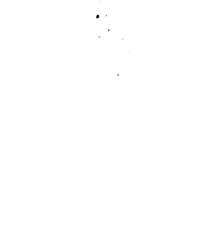 Đọc truyện NETKAMA PUNCH!! - Chapter 56