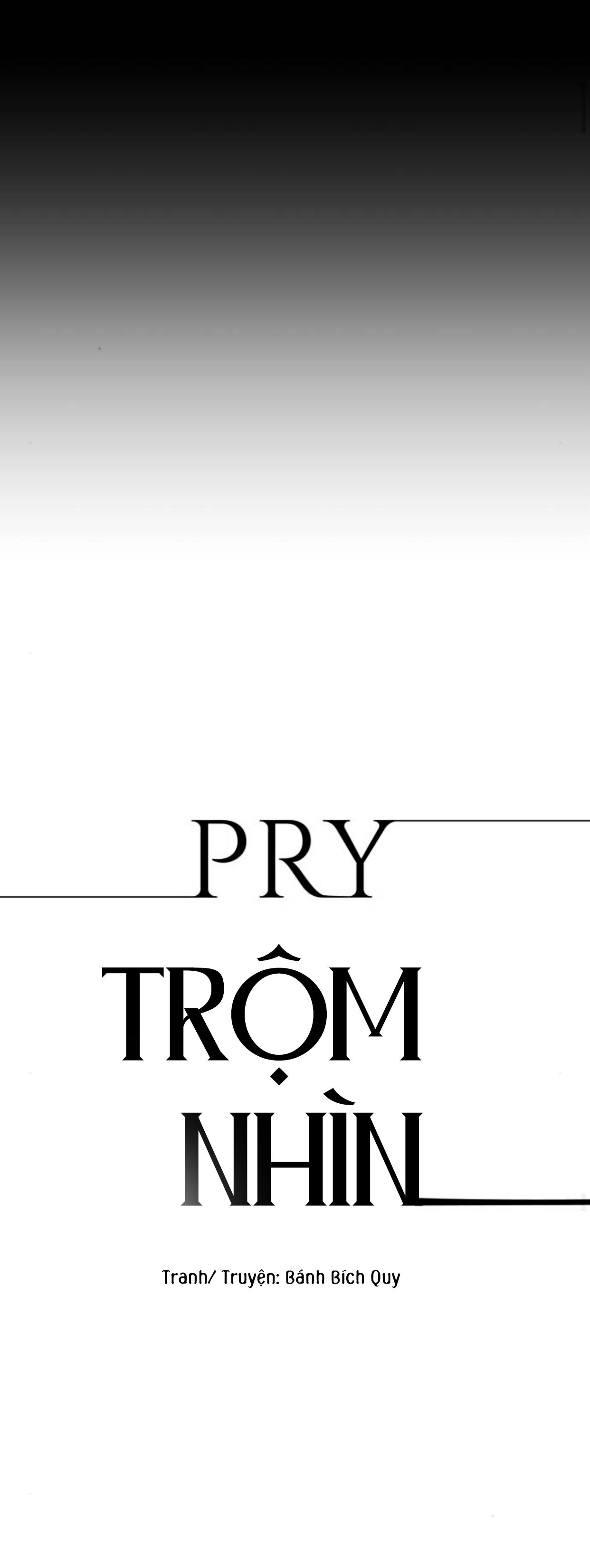 Đọc truyện PRY (Trộm Nhìn) -END - Chapter 12