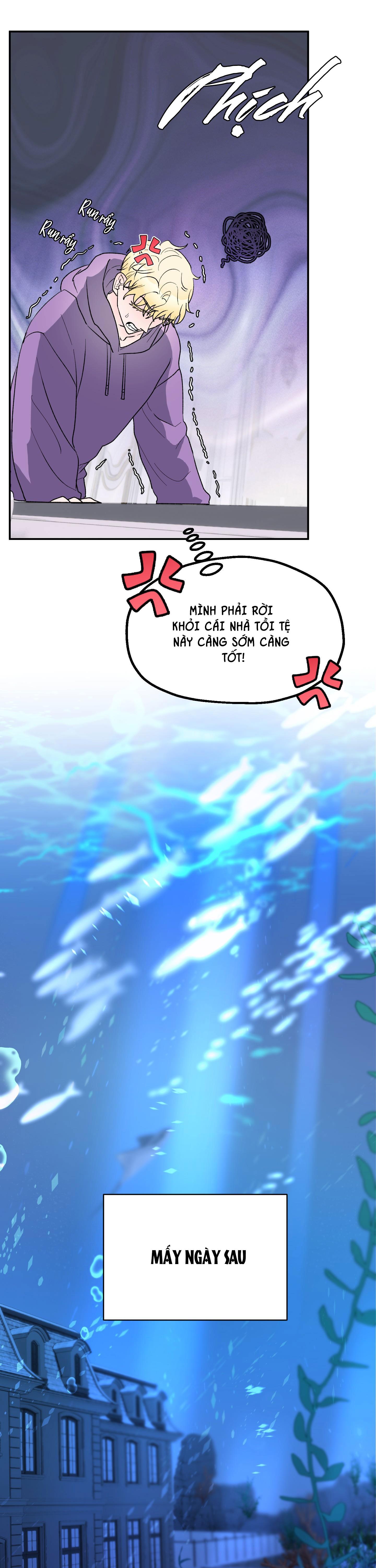 Đọc truyện CÁ MẬP VÀ CÔ DÂU THỎ - Chapter 6
