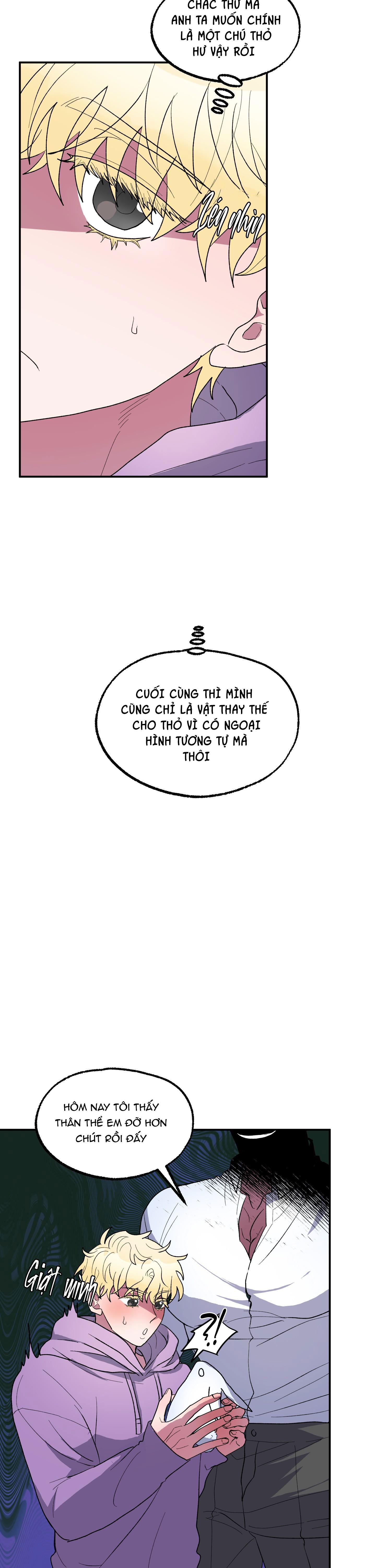 Đọc truyện CÁ MẬP VÀ CÔ DÂU THỎ - Chapter 6