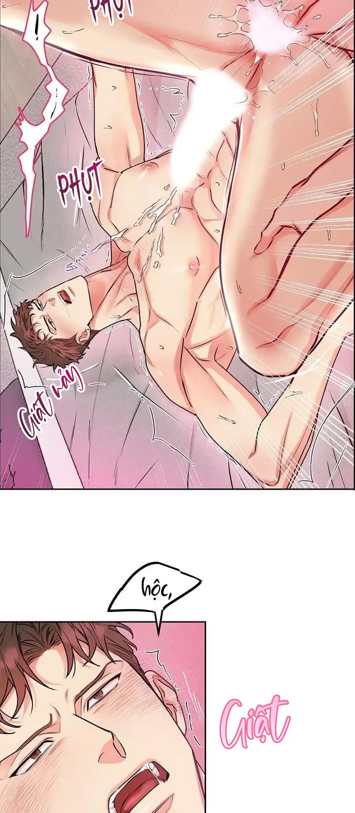 Đọc truyện CHÓ VÀ CHIM - Chapter 11