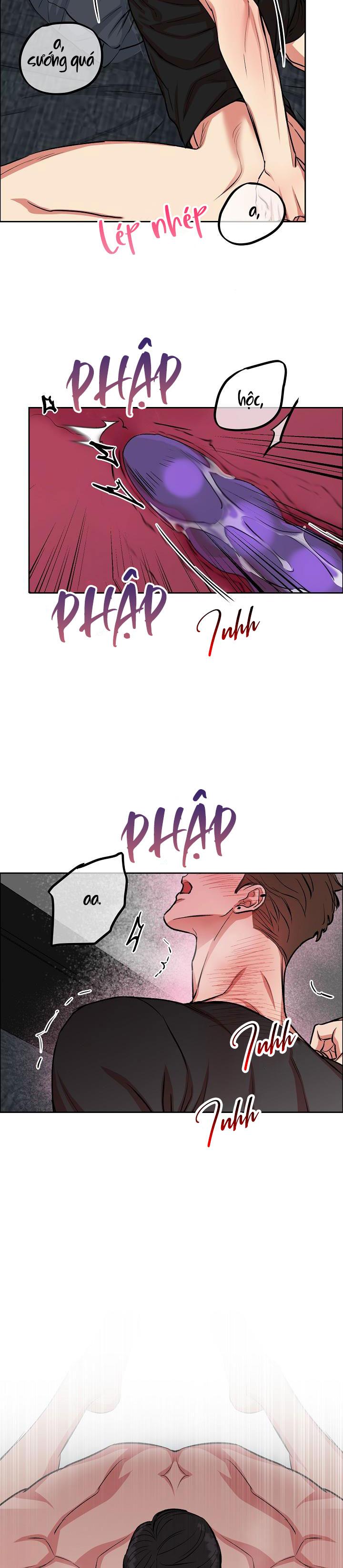 Đọc truyện CHÓ VÀ CHIM - Chapter 2