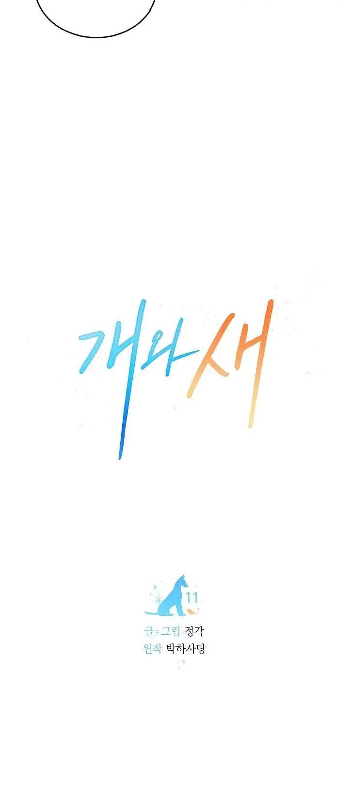 Đọc truyện CHÓ VÀ CHIM - Chapter 11