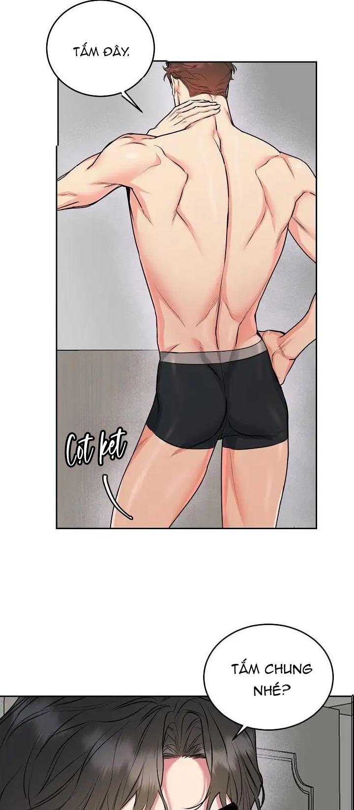 Đọc truyện CHÓ VÀ CHIM - Chapter 11